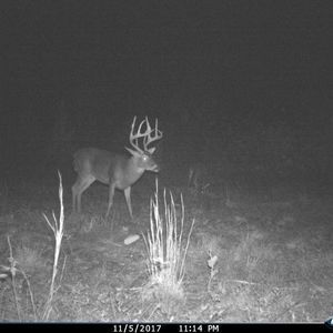 Meet your Posher, Jeff